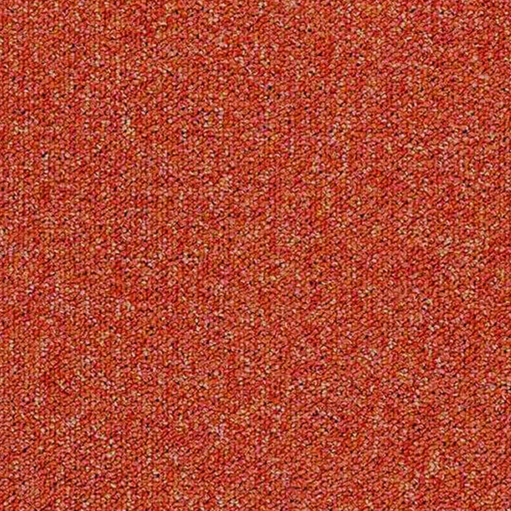 basis-pro_4209-clementine_karo-halı