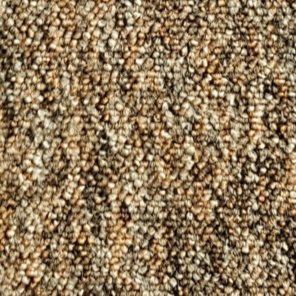 superstar-310